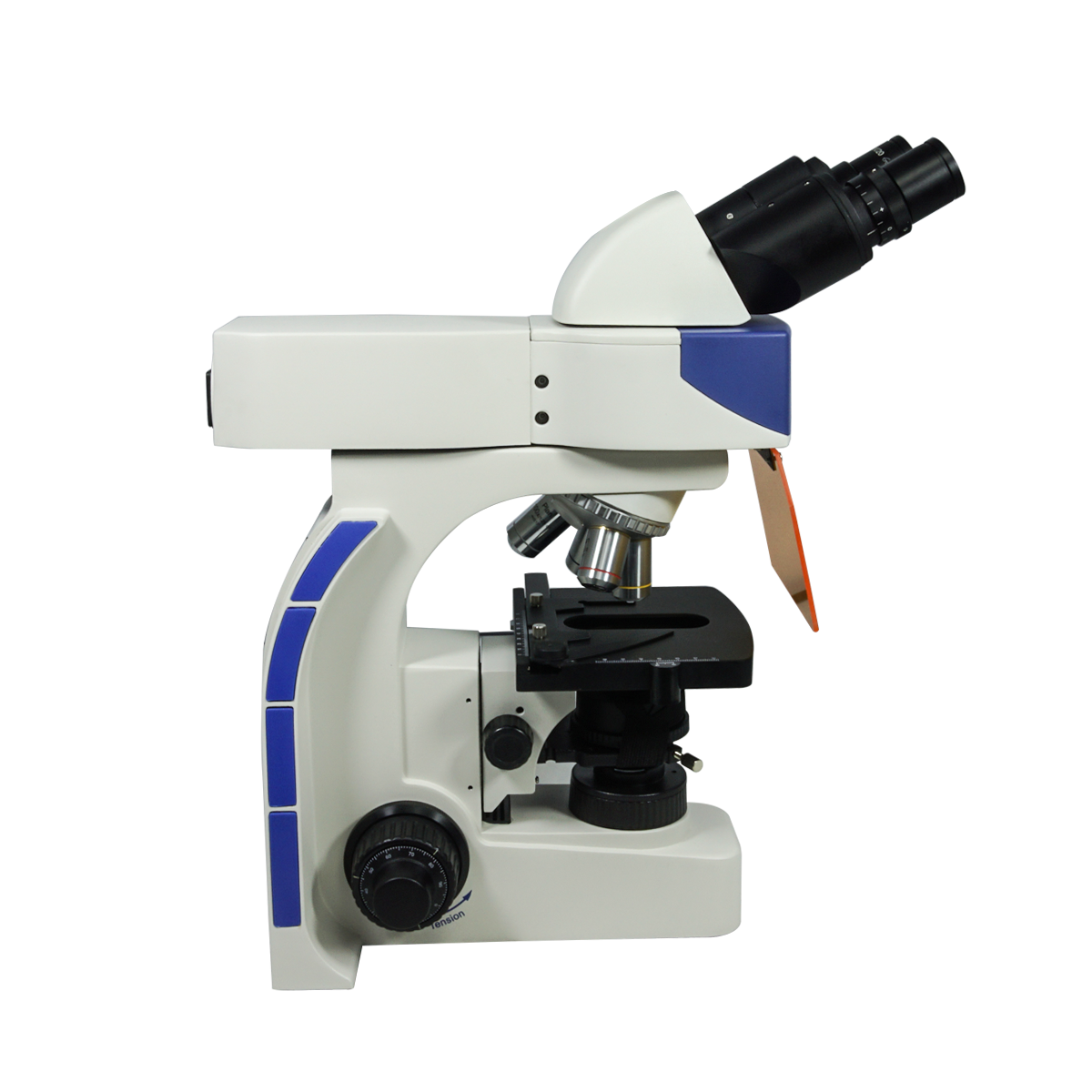 Fluorescence Microscope
